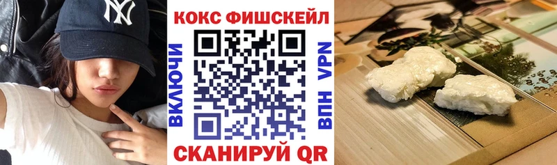 Cocaine Fish Scale  Купить где  Клинцы 