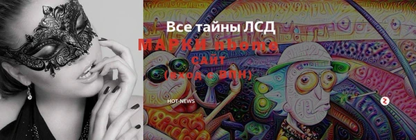 mdpv Елизово