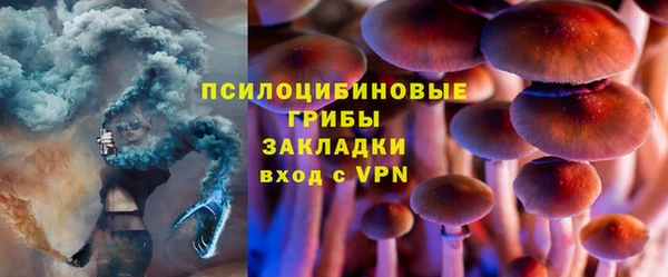 стаф Ельня