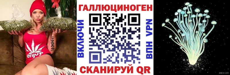 Купить где  Клинцы  Галлюциногенные грибы GOLDEN TEACHER 